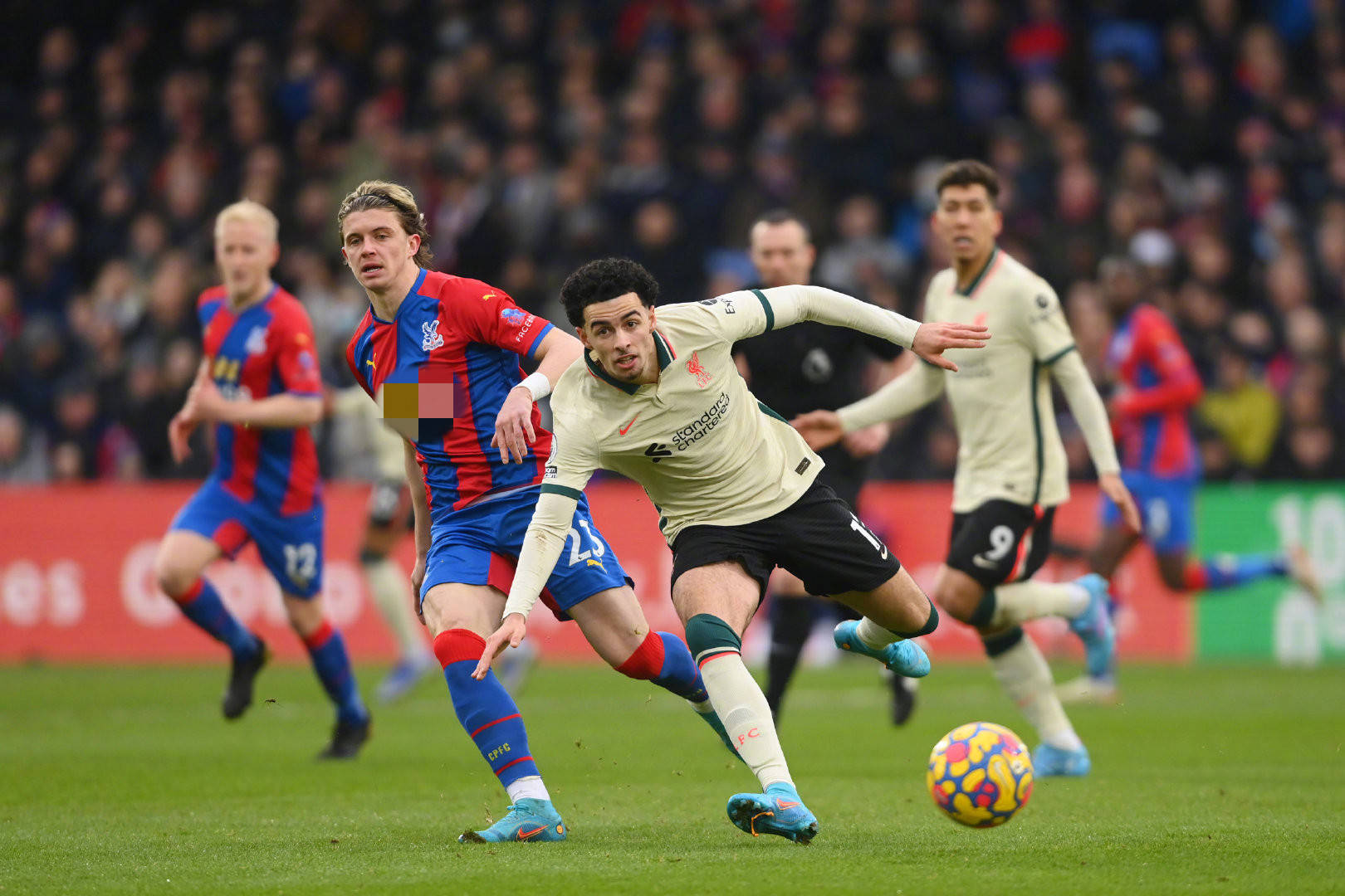 而他的对手 而他的对手