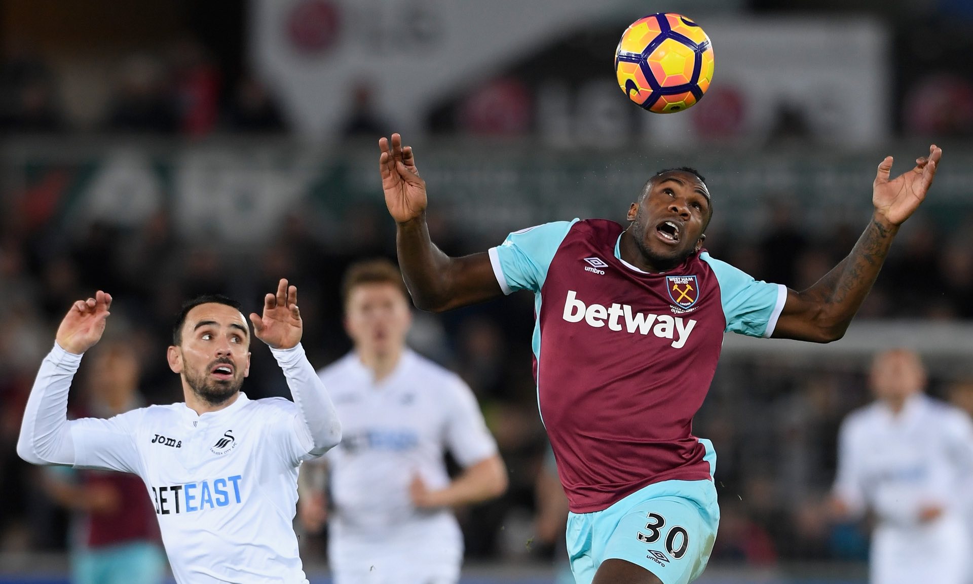 常能够看到 常能够看到